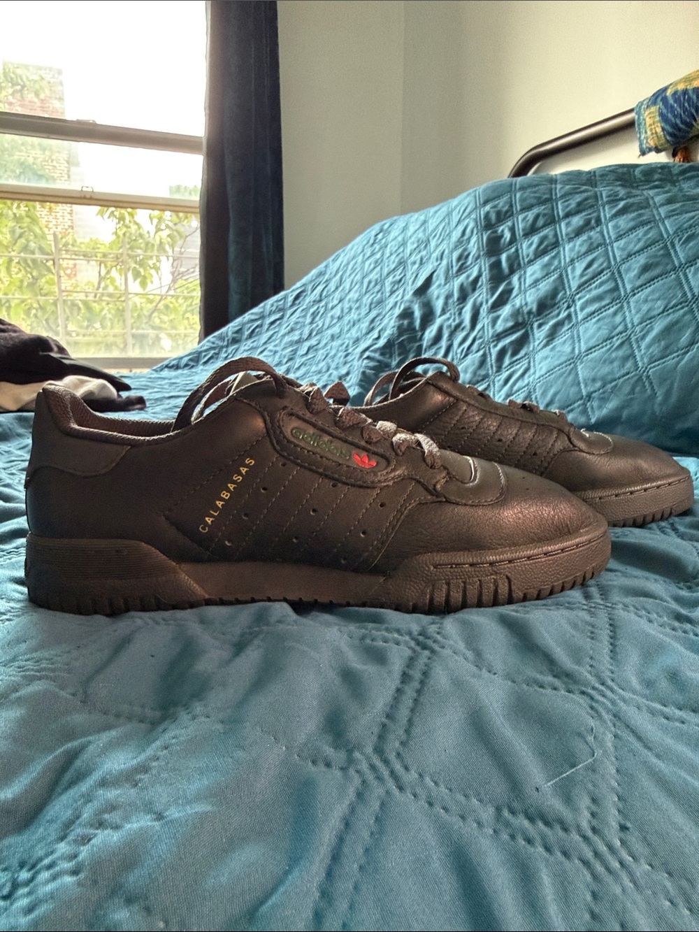 Adidas Calabasas sneakers